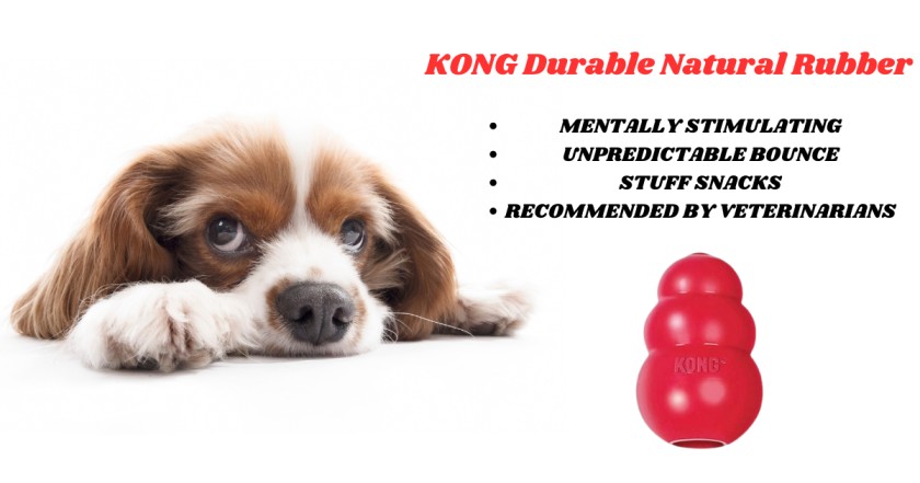 Top 10 Tough, Durable and Indestructible Dog Toys