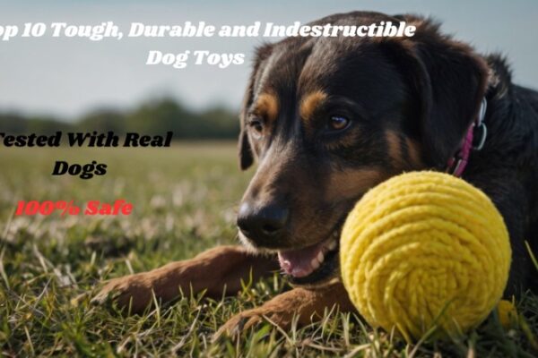 Top 10 Tough, Durable and Indestructible Dog Toys, Tested With Real Dogs