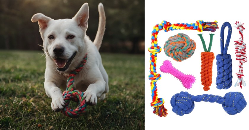 Top 10 Tough, Durable and Indestructible Dog Toys